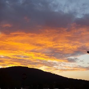 Meet your Posher, Rose